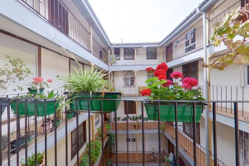 Pleno centro de Santander, 3 habitaciones dobles, para 6 personas! A unos pasos de una de las bahías más bellas del mundo! Esterno foto